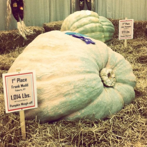 Tennessee State Fair